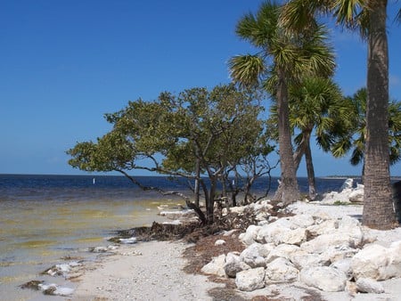 ~Sunset Beach~Tarpon Springs, Florida~ - ocean, palm trees, beach, florida, rocks, nature, beautiful, sand, mangroves, photograph