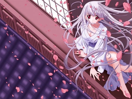 Far Away - white, away, far, sakura, girl, petals, anime