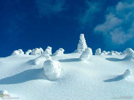 Beauty Winter - winter, blue, snow, landscape, white, nature, cold, frost, sky