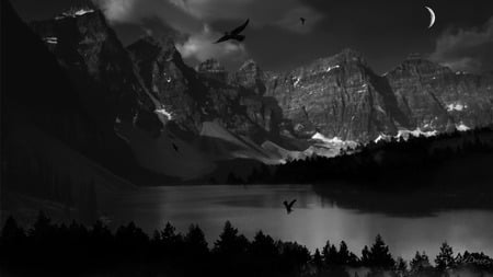 Mountain Darkness - sky, lake, trees, mountain, night, widescreen, nature, evening, birds