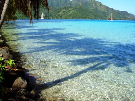 Tahiti Moorea Opunohu Bay - beach, tropical