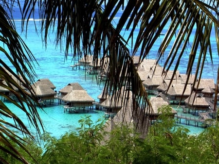 Tahiti Moorea - beach, tropical, resort