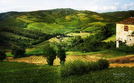 Tuscany Valley - nature, regions, fields, tuscany, italy