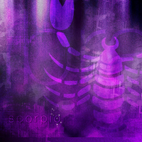 scorpio