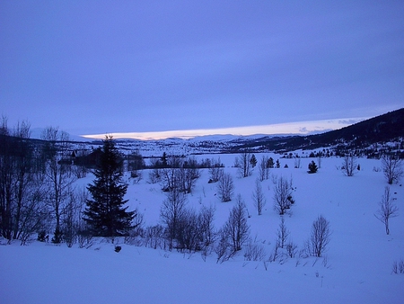 Norwegian Winter - landscape, winter, norway, wood