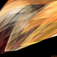 Gossamer wing