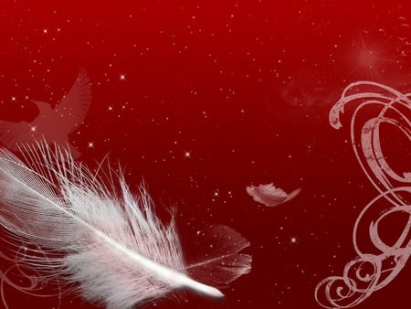 Light as a feather - white, feather, red, floating