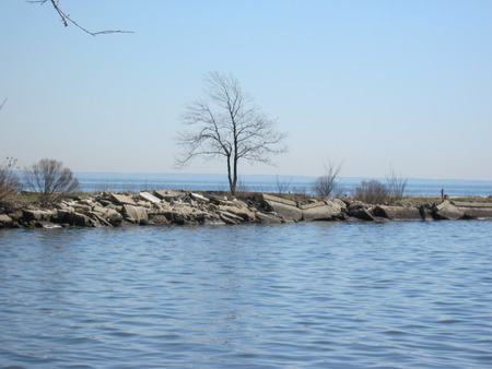 A Lone Bare Tree Waiting to Bloom - sky, tree, ocean, water