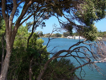 Glenelg River, Nelson - river, trees