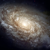 Spiral Galaxy