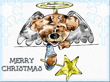 Xmas Bear  - angels, bears, guys, xmas