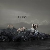 Brave Dogs