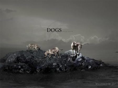 Brave Dogs