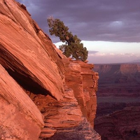 Canyonlands