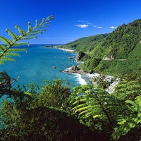 Paparoa National Park~South Island~New Zealand