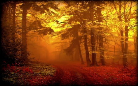 Endless Journey - trees, ray, mist, grass, golden, forest, light, leaves