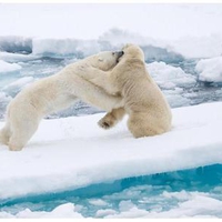 PLAY TIME ON THE ICE