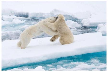 PLAY TIME ON THE ICE - having fun, cold white ice