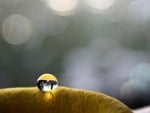 JUST A DROP OF WATER