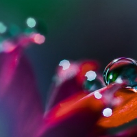 CLOSE UP WATER DROP