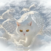 Angel Kitty