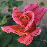 Singing Paper Rose