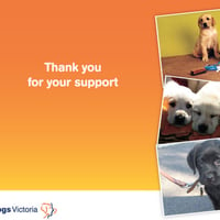 Guide Dog Support