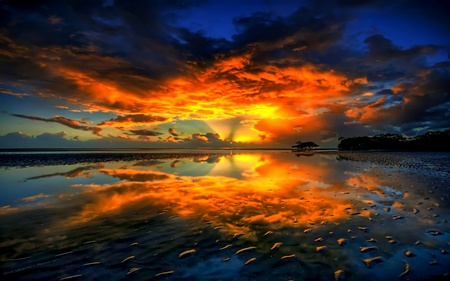 Double - beach, lake, ember, ocean, trees, colorful, starry, rocks, glow, forest, cloud, reflection, ray