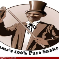 obama snake oil salesman