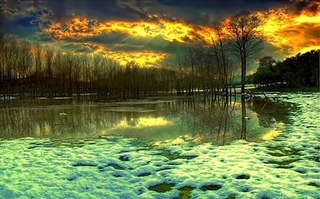 What Happening Here - clouds, trees, ray, pond, snow, forest, light, reflection, sky