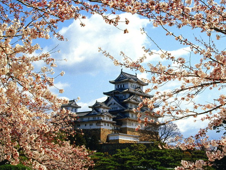 himeji jo castle - himeji-jo-castle, flowers, japan