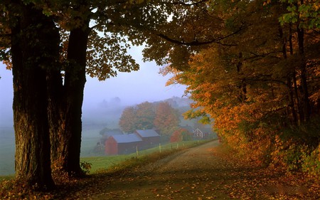 MISTY MORNING - path, foggy, morning, misty, trees, buildings, sunshine