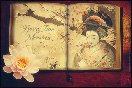 spring time memoirs - lotus, geisha, time, book, girl, spring