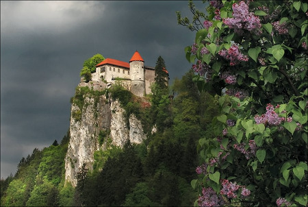 Bled Castle, Slovenia - mountains, wild lilacs, flowers, castle