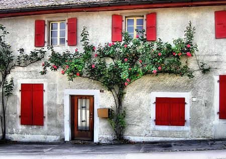 Old house - white, village, home, red, house, flowers, greece