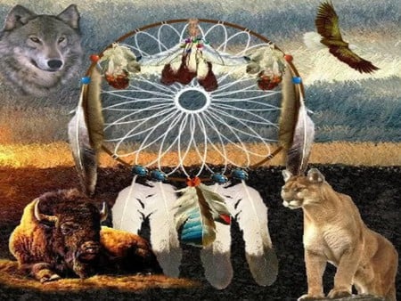 indian - buffalo, dreamcatcher, wolf, mountain lion