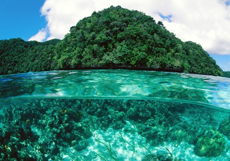 ~A Beautiful Limestone Island~Republic of Palau~ - ocean, trees, mountians, crystal clear water, underwater, nature, foilage, beautiful, clouds, island, sea, paridse