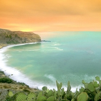 ~A Cactus Sunrise~Palos Verde Peninsula~California~