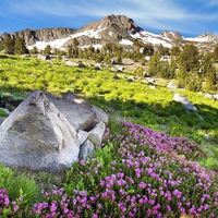 Alpine Scene