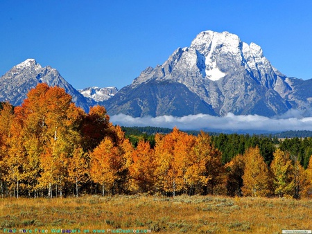 ONE FALL DAY - view, gorgeous, mountain, beautiful