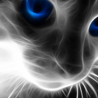 cat-blue