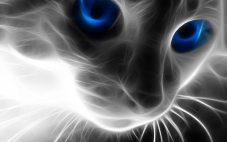 cat-blue - abstract, art, cat, blue, 3d, world