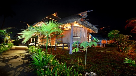 The Old Way - flowers, path, glow, trees, huts, houses, light