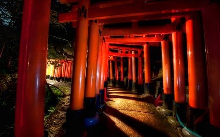 The Red Gates - pillars, path, glow, trees, light, japanese