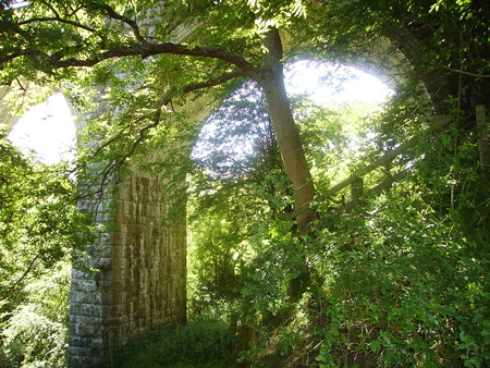 scenic, summers day - summer, country side