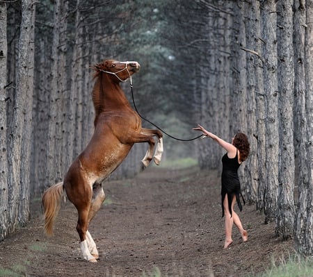 Friendship - woman, sexy, body, trees, female, girl, photography, model, horse, forest, beautiful