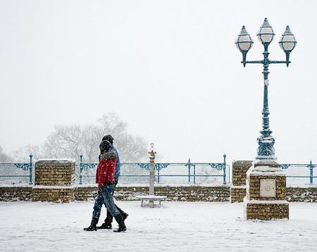 Winter - snow, cold, ice, white