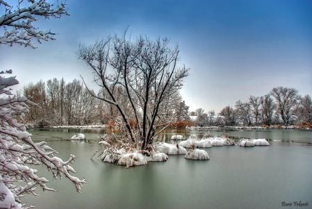 Winter - trees, water, blue, snow, forest, ice, white, cold, lake