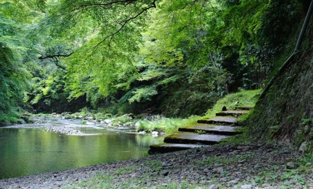 Nature - stairs, lake, forest