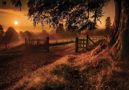 Autumn sunrise - black, trees, sunset, farm, dark, sun, sky